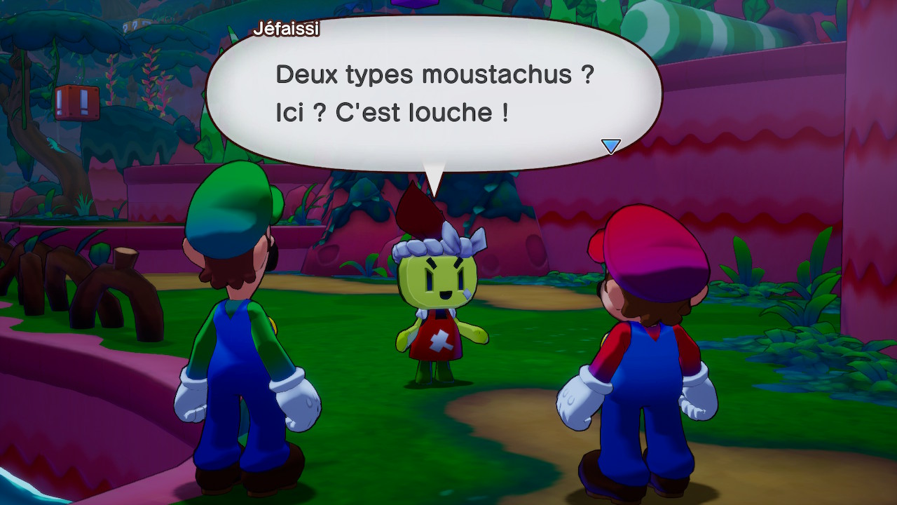 Avis et test de Mario et Luigi : l'épopée fraternelle