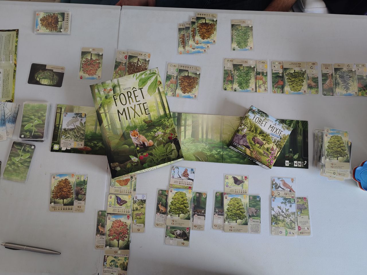 Avis et test de Forêt Mixte et l'extension Lisière de forêt (Lookout Games)