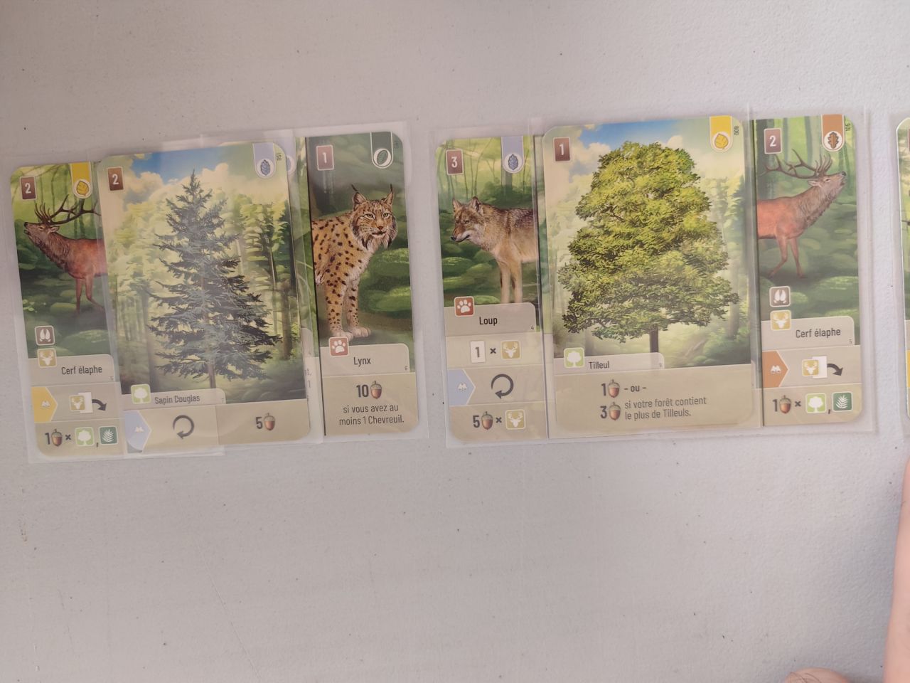 Avis et test de Forêt Mixte et l'extension Lisière de forêt (Lookout Games)