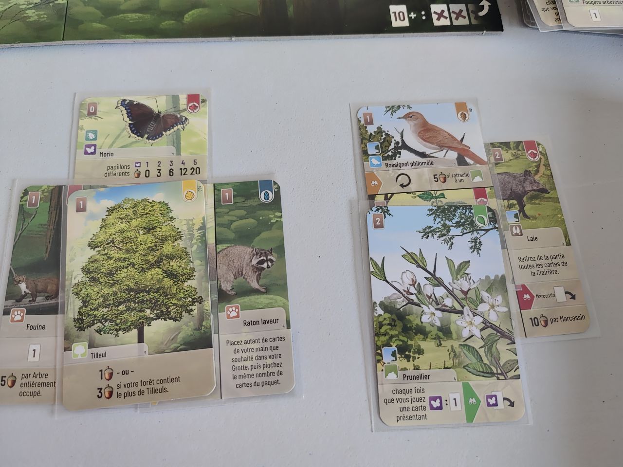 Avis et test de Forêt Mixte et l'extension Lisière de forêt (Lookout Games)