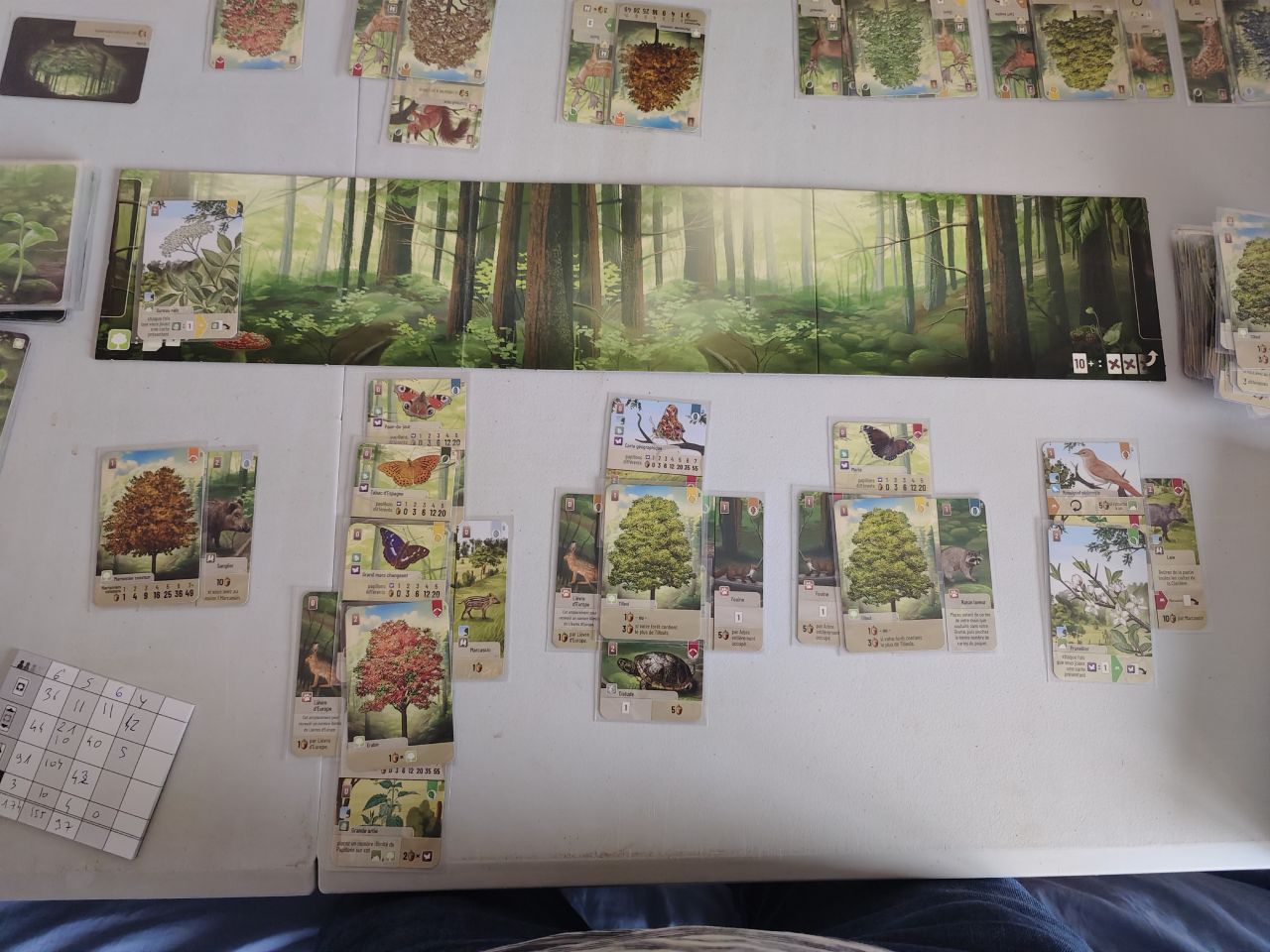 Avis et test de Forêt Mixte et l'extension Lisière de forêt (Lookout Games)